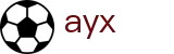 爱游戏 (AYX)平台 - 官方平台信息中心